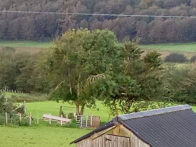 Springbank farm