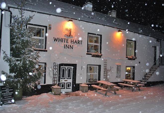 The white hart