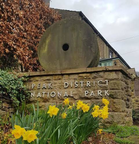 Woodcock farm
