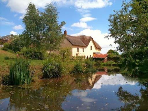 Great gutton farm