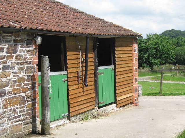 Hollamoor farm horse b&b