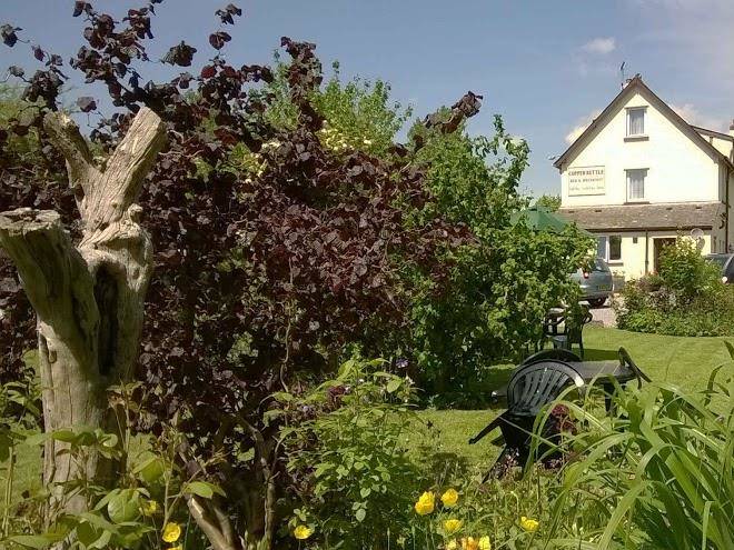 The Copper Kettle Image