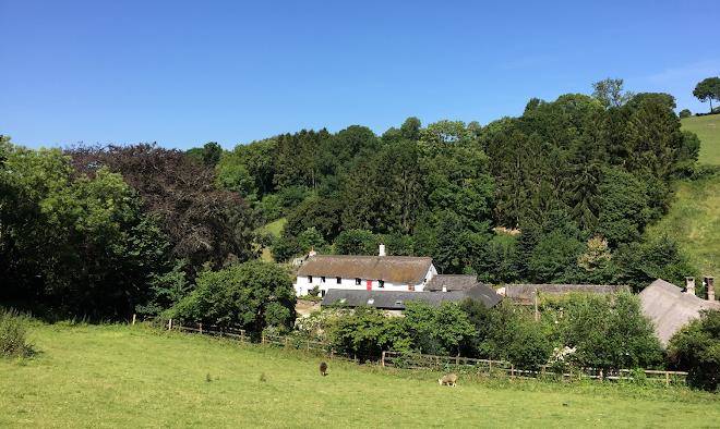 The cridford inn