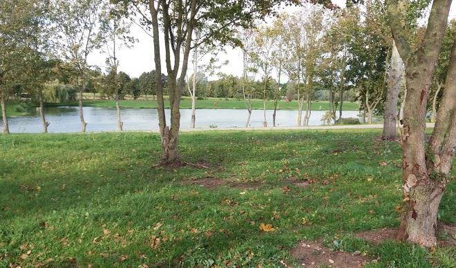 Fishermans cove glamping site