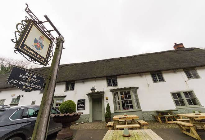 Hambro arms