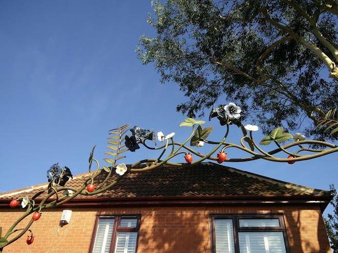 Polemonium Plantery Image