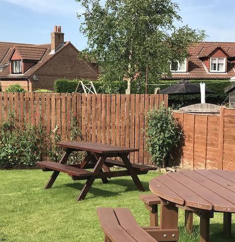 The Ball Alley Image