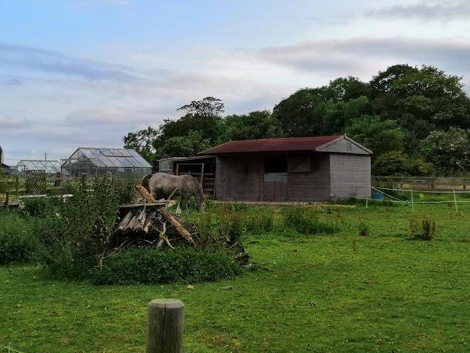 Elm tree farm b&b