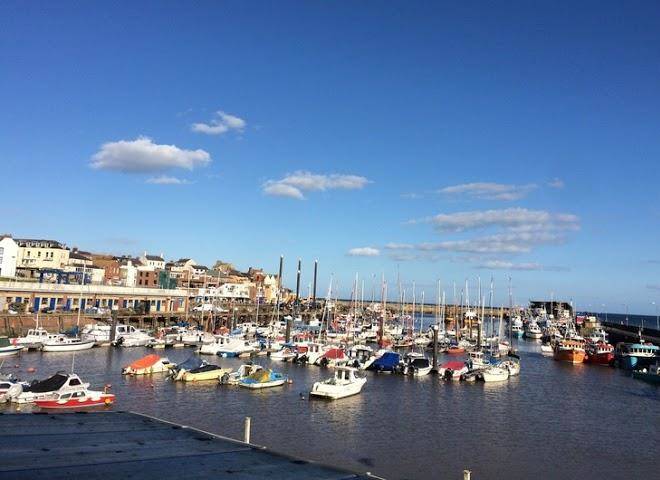 Salt on the harbour