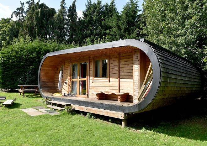 Blackberry wood