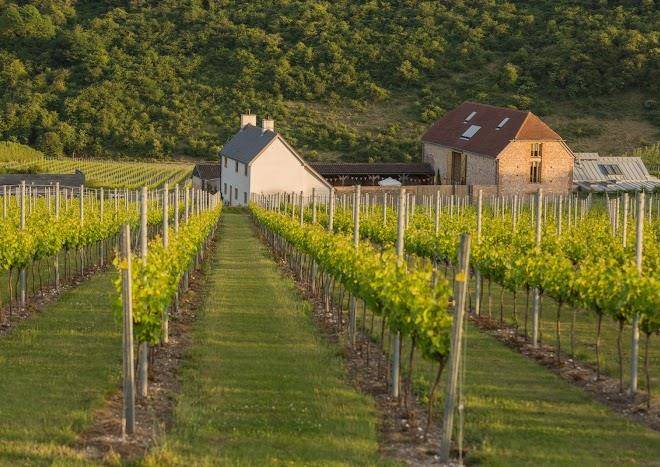 The flint barns rathfinny wine estate