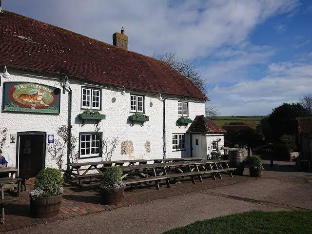 Tiger inn