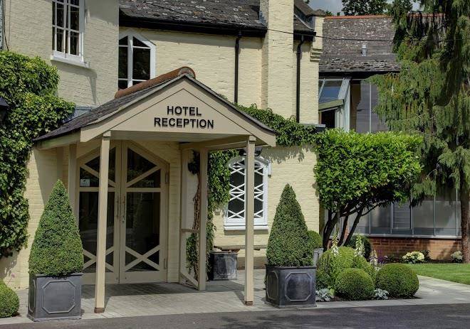 Best western ivy hill hotel