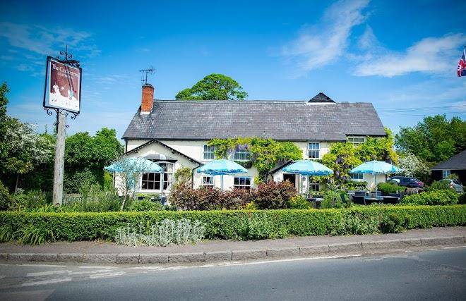 The cricketers