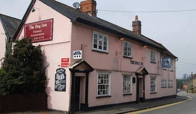 The dog inn