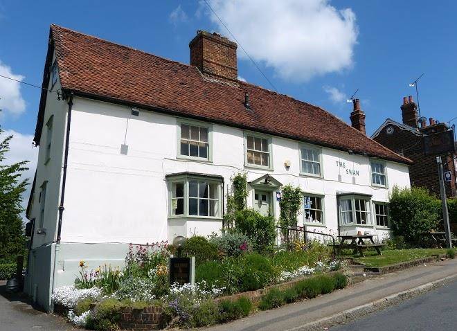 The swan