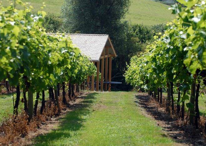 Three choirs vineyards gloucestershire