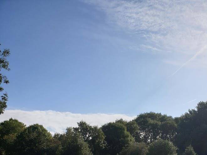 Bishops green farm campsite