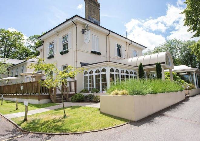 Forest lodge hotel