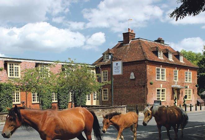 The bell inn new forest