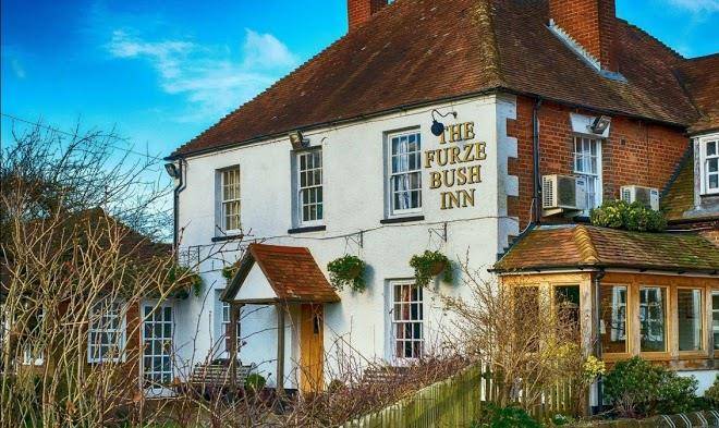 The furze bush inn