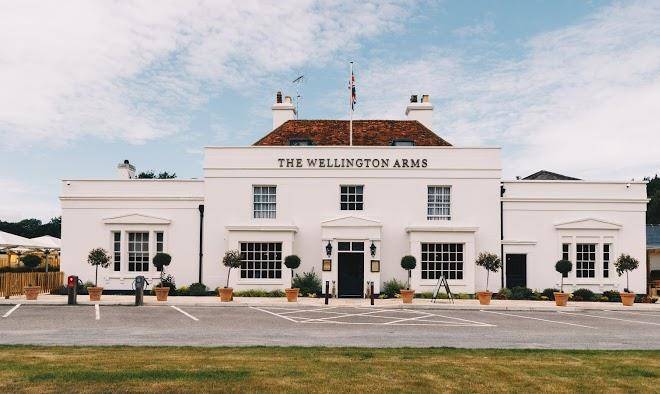 The wellington arms