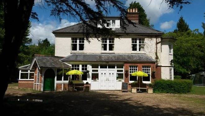 Yha new forest