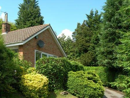 Lynden lea