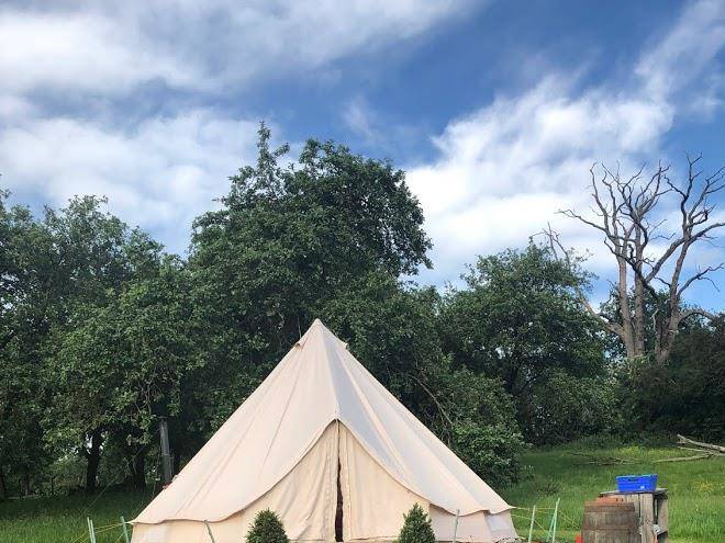 Perry tree glamping
