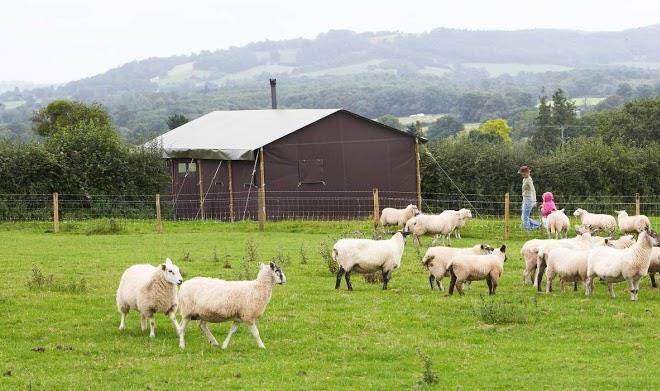 Wiesenbett Hollings Hill Image