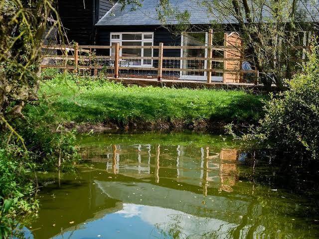 Baileys farm
