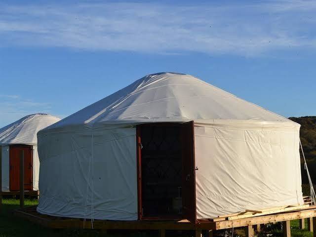 Kids love yurts