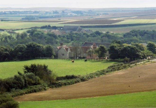 Westcourt farm