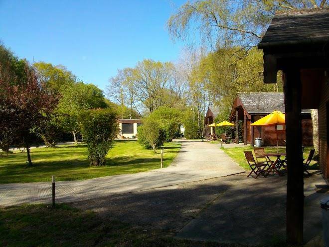 Eversleigh Woodland Lodges Image