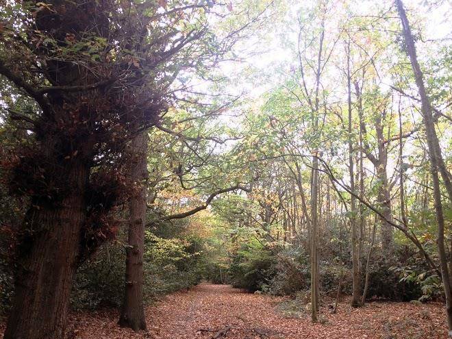 University Of Kent Image