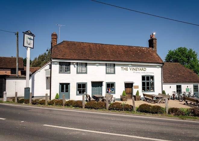 The vineyard