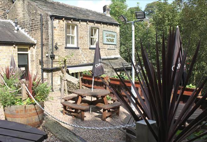 The white horse