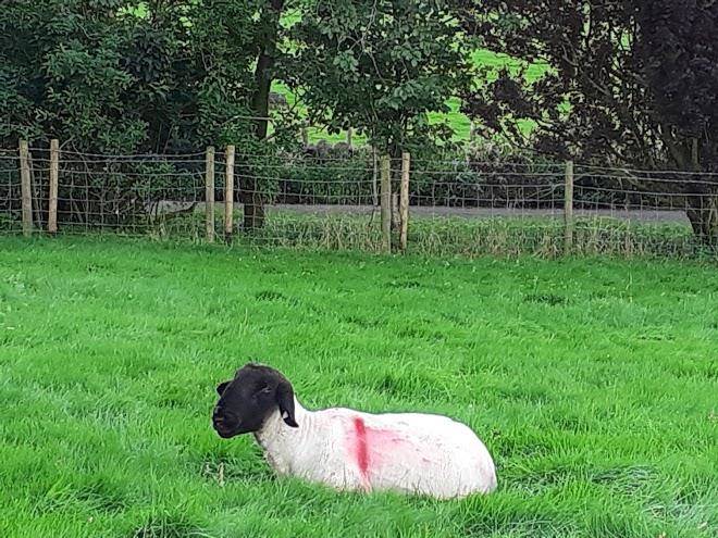 New parkside farm