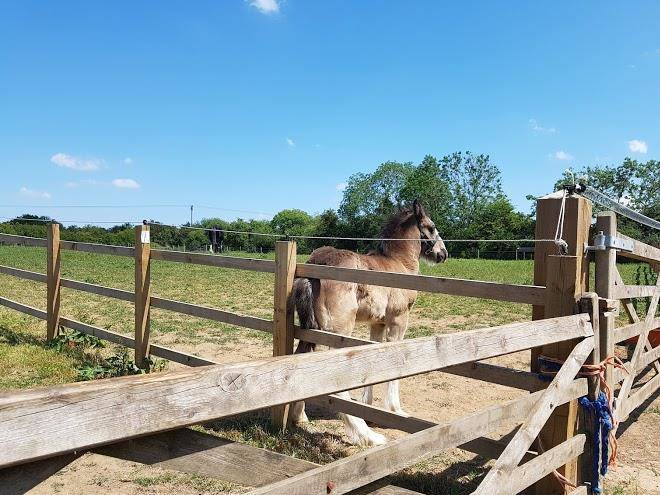 Hill farm packington