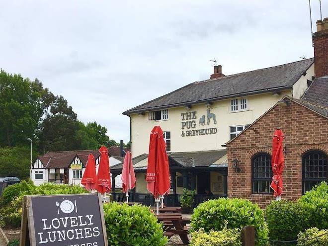 The Pug & Greyhound Image