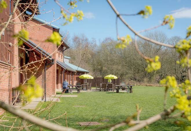 Yha national forest