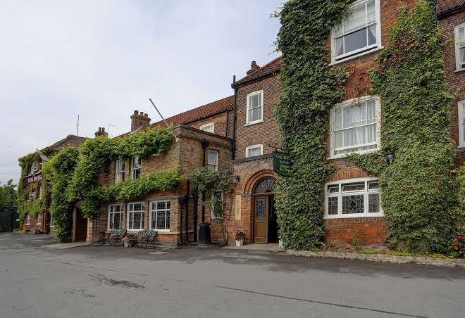 The vine hotel