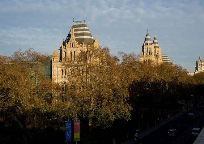 Eden plaza kensington