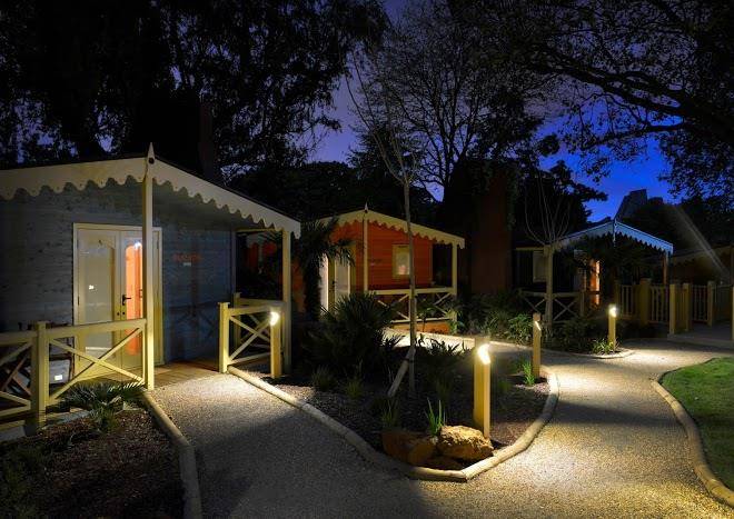 Gir lion lodge