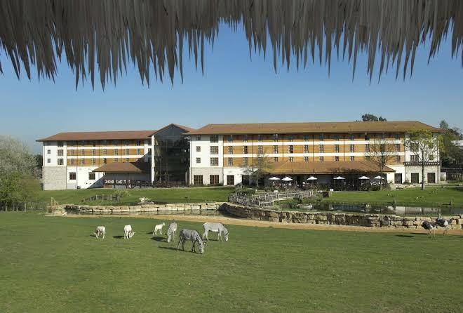 Safari hotel