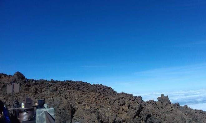Tenerife holiday dreams