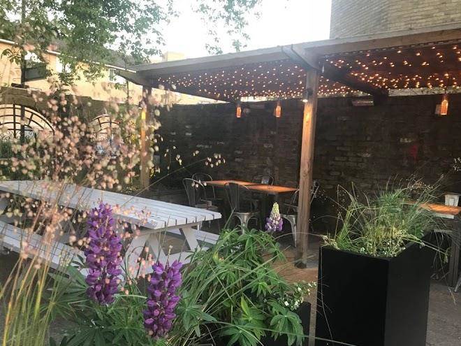 The brownswood