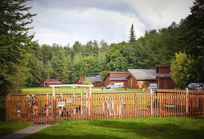 Forest Holidays Thorpe Forest Image