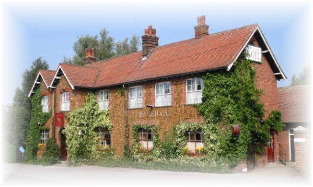 Red cat hotel