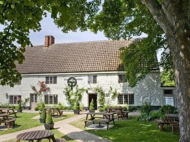 The orange tree inn and restaurant